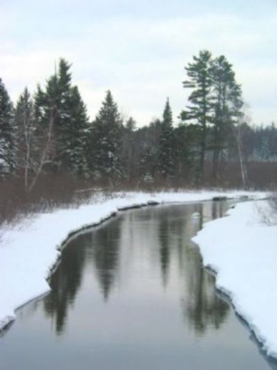 creek in winter